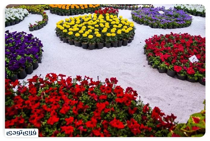 جاهای دیدنی استان مرکزی | قطب صنعت ایران
