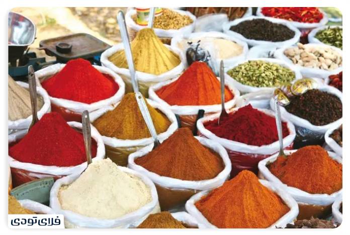 جاهای دیدنی ایرانشهر | گنجینه‌ای پنهان در قلب بلوچستان