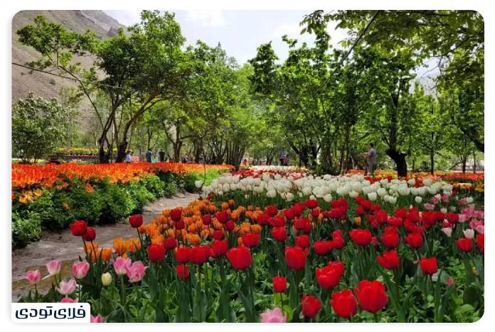جاهای دیدنی البرز | استانی با جاذبه های تاریخی و طبیعی