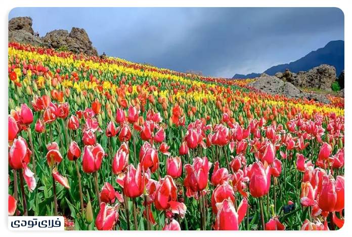 جاهای دیدنی البرز | استانی با جاذبه های تاریخی و طبیعی