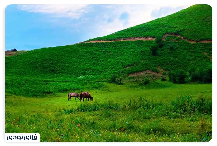 جاهای دیدنی تهران, دیدنی های تهران جاهای دیدنی تهران | بهترین مکان های تفریحی پایتخت