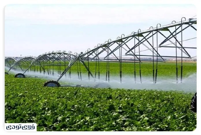 سوغات زنجان | از چاقوهای تیز تا قالی‌های نفیس