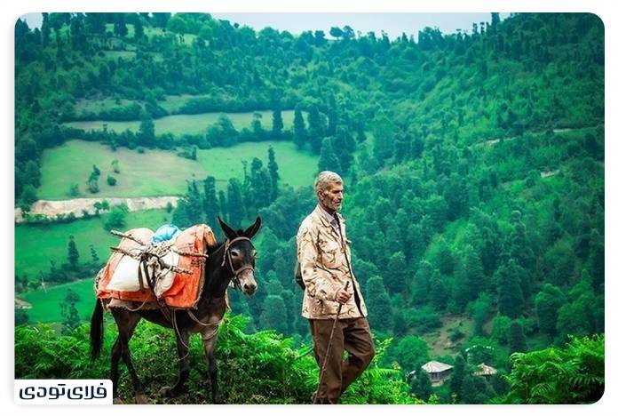 جاهای دیدنی رودبار | سفر به سوئیس ایران
