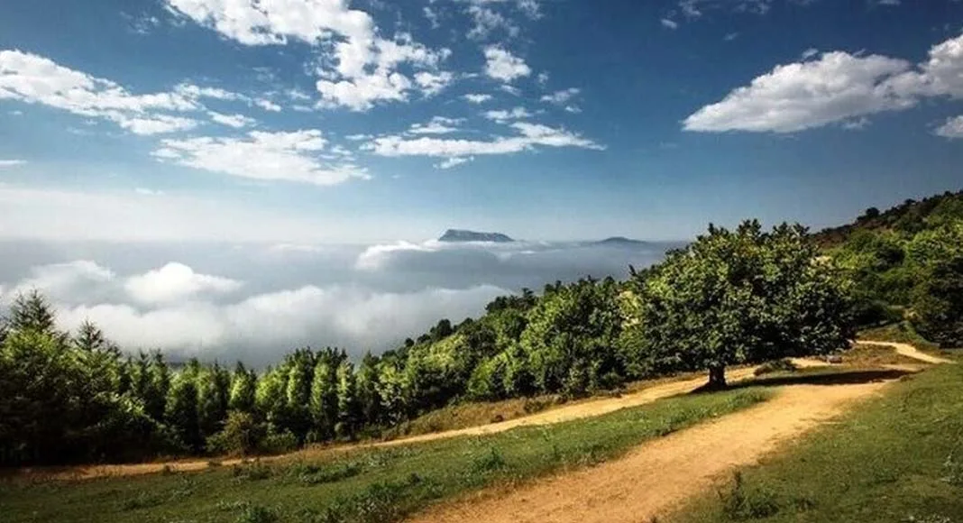 جاهای دیدنی شاهرود