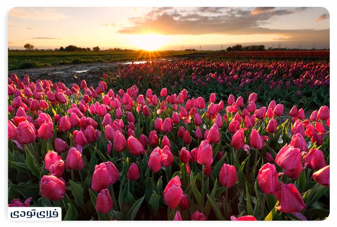 راهنمای سفر به لرستان | عروس غرب ایران
