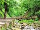 راهنمای سفر به گرگان