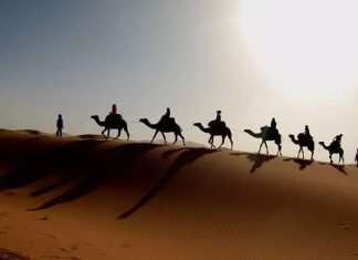 کویر مصر