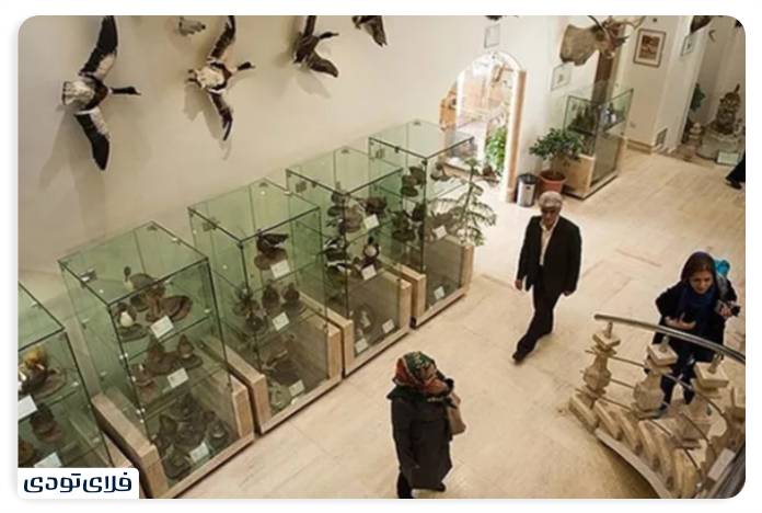 کاخ نیاوران پاییز در کاخ نیاوران | جادوی رنگها در قلب تهران