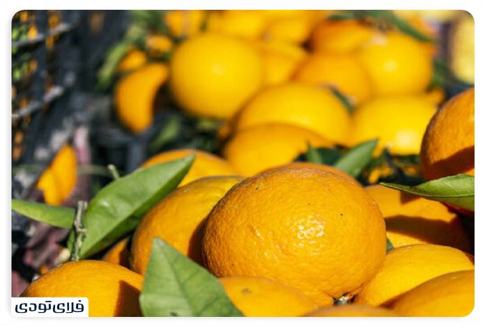 سوغات اهواز | هدایایی از دل خوزستان