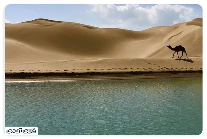 کنارک کجاست؟ معرفی جاهای دیدنی