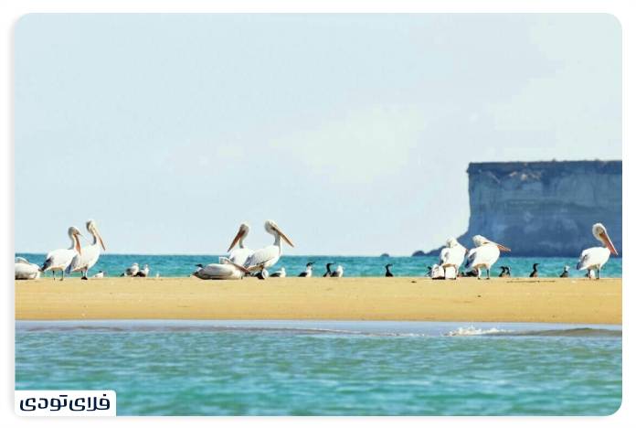 کنارک کجاست؟ معرفی جاهای دیدنی