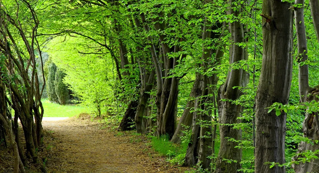 جاهای دیدنی نوشهر جاهای دیدنی نوشهر