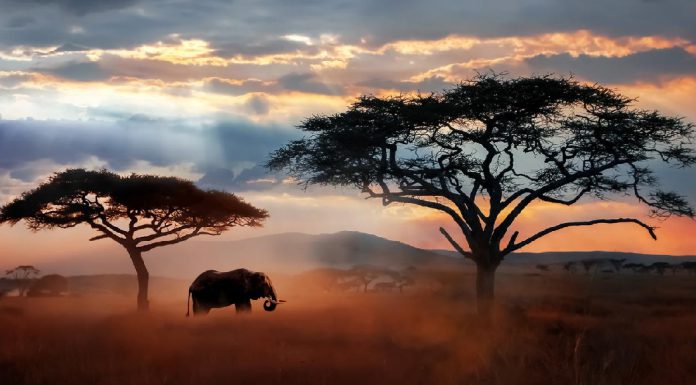 راهنمای سفر به آفریقای جنوبی