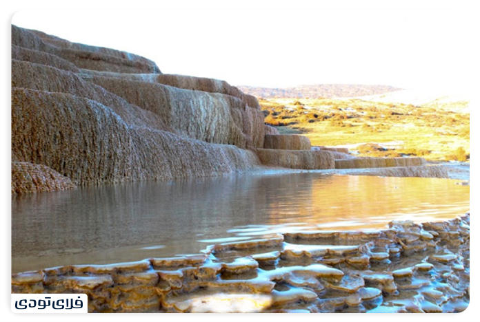 خاصیت درمانی باداب سورت