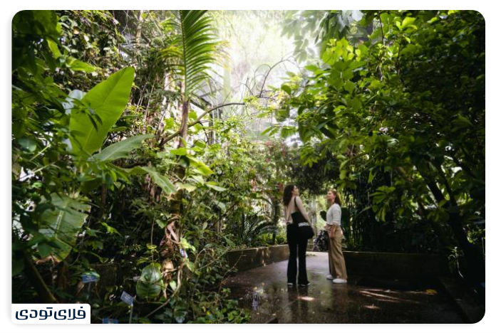 باغ گیاه_شناسی (Bern Botanical Garden)