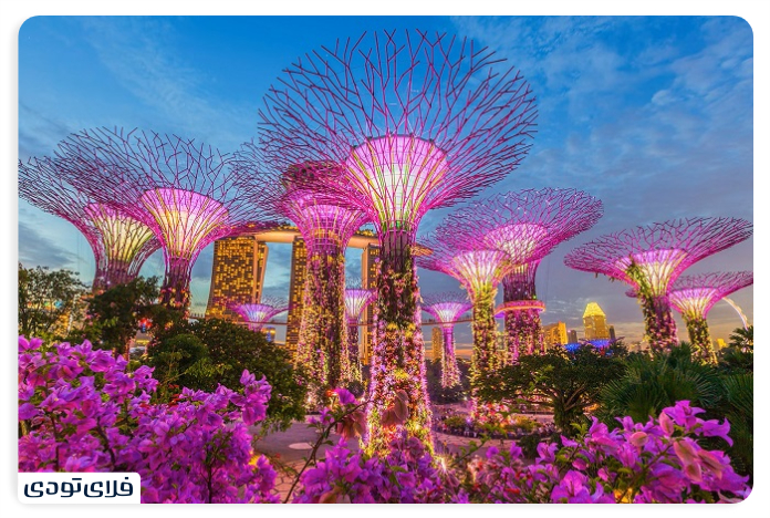 باغ_های کنار خلیج سنگاپور