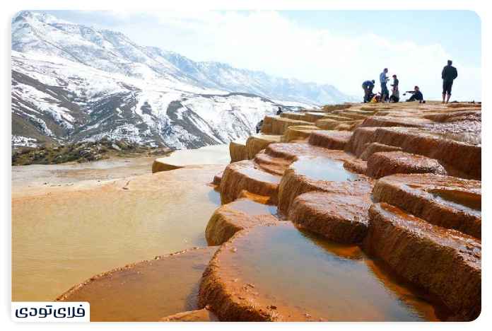 خاصیت درمانی باداب سورت