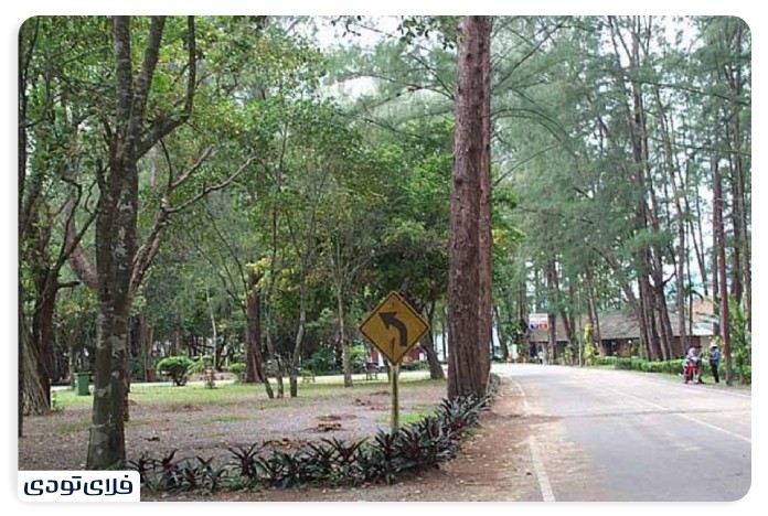 جاهای دیدنی پوکت | گردش در بهشت تایلند