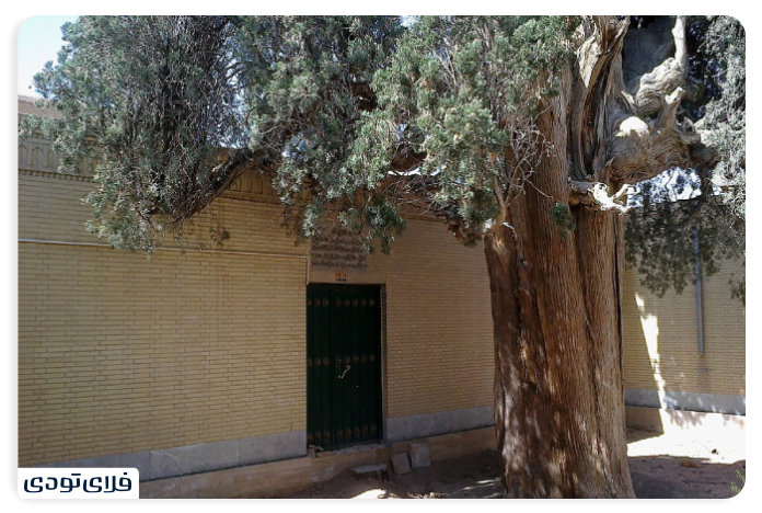 جاهای دیدنی تفت | تجربه‌ای متفاوت از سفر به یزد