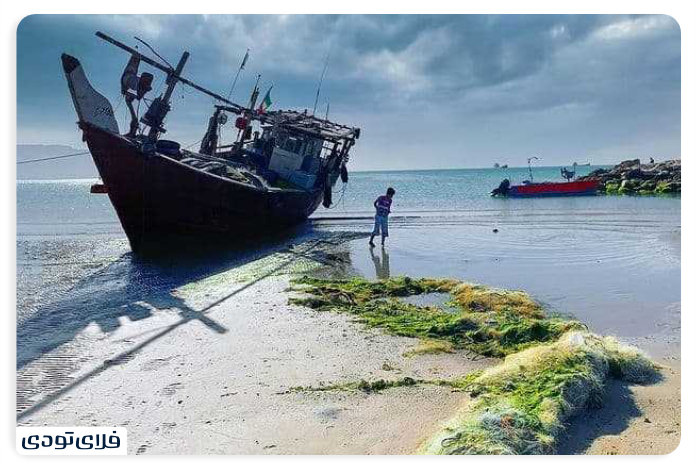 جمعیت و مردم شناسی بندر دیر