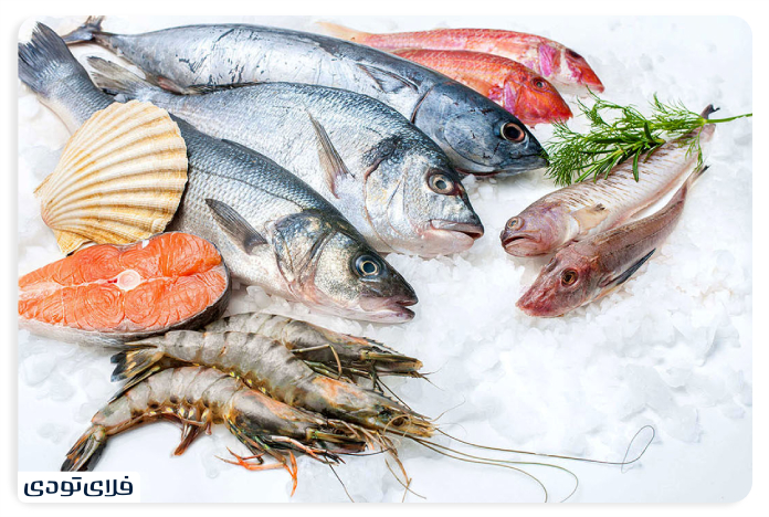 ماهی و میگو