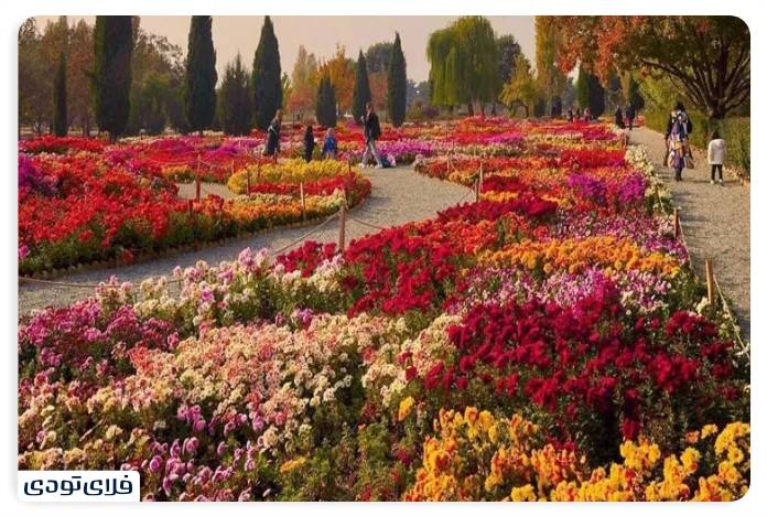 باغ گیاه شناسی تهران بخش باغ رز و چهار باغ ایرانی