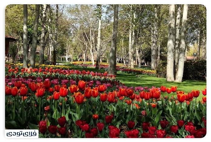 باغ گیاه شناسی تهران باغ گیاه شناسی تهران
