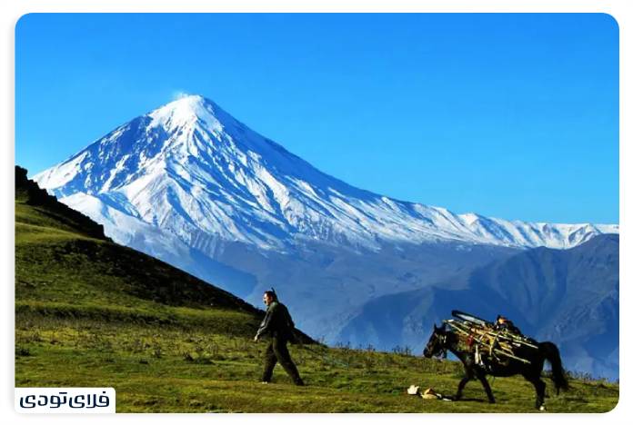 جنگل الیمستان جنگل الیمستان