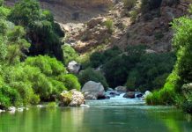 بهشت گمشده شیراز