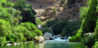بهشت گمشده شیراز