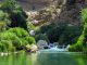 بهشت گمشده شیراز