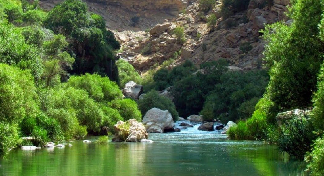 بهشت گمشده شیراز