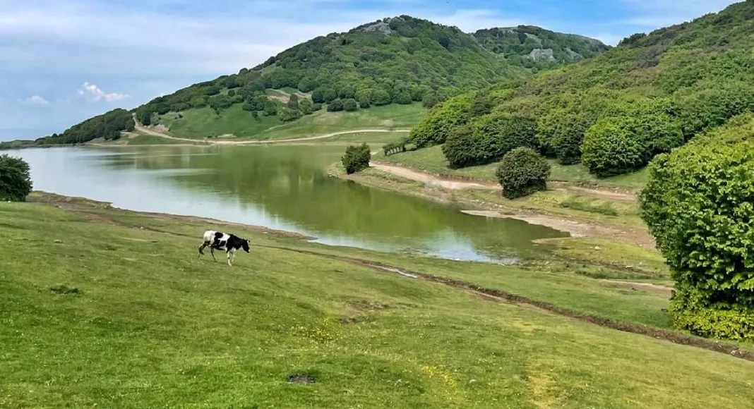 جنگل فندقلو اردبیل