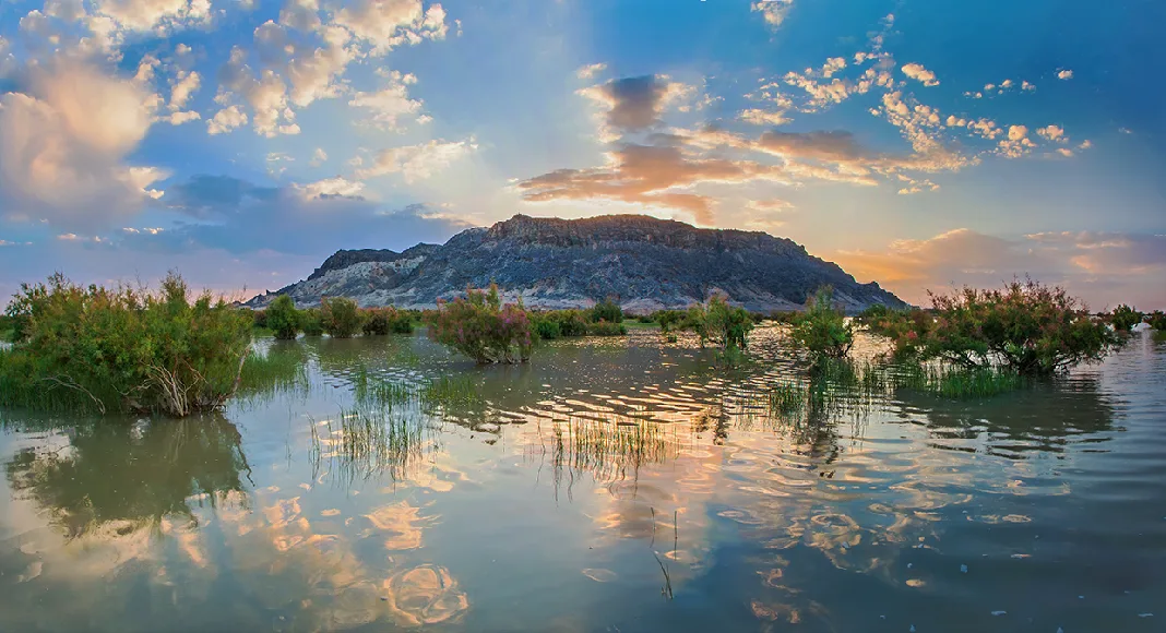دریاچه هامون دریاچه هامون