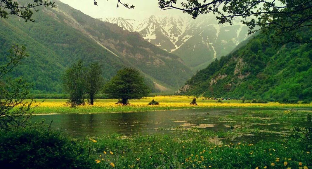 شاخص
