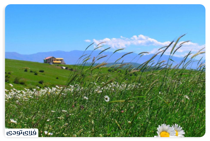 طبیعت جنگل فندقلو
