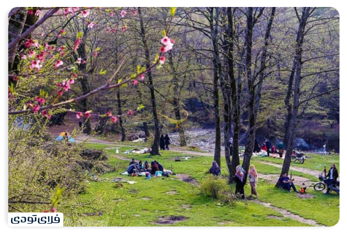 عکاسی در پارک النگدره گرگان