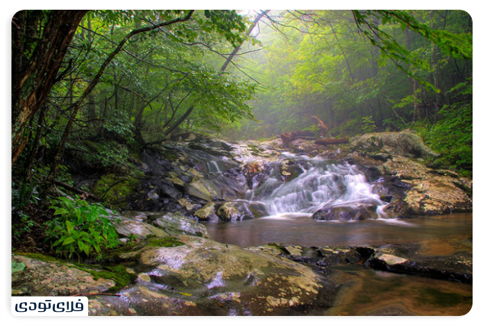 پوشش گیاهی و جانوری آبشار آب سفید