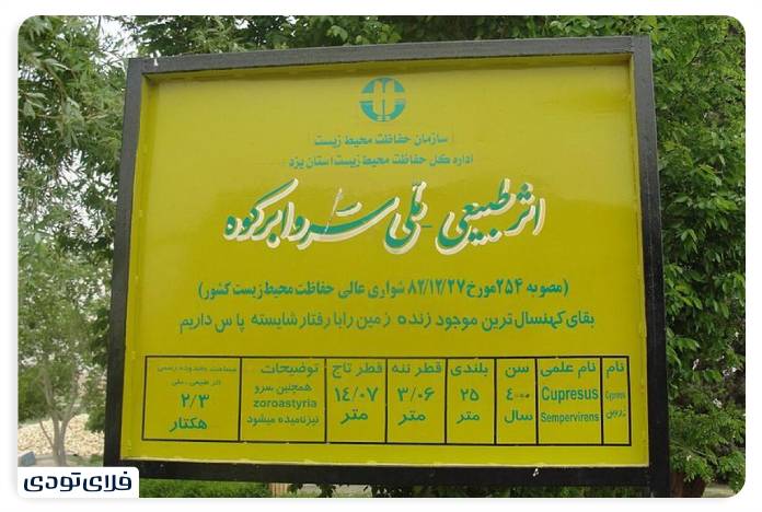 مشخصات سرو ابرکوه یزد