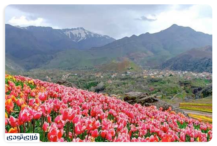 روستای کندر کرج دشت لاله های کندر کرج