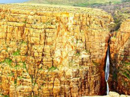 فلای تودی