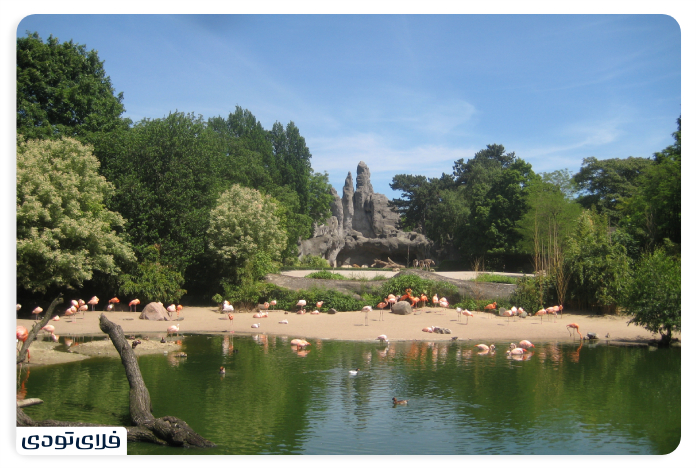 باغ وحش هامبورگ