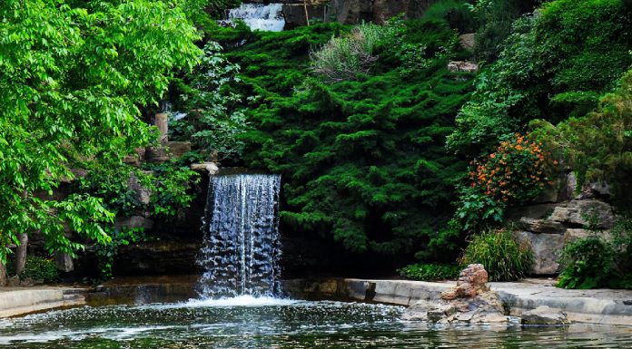 باغ گیاه شناسی تهران