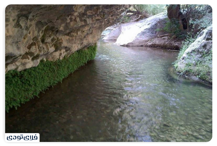 تاریخچه بهشت گمشده شیراز