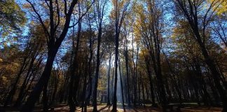 جاهای دیدنی سیسنگان مازندران
