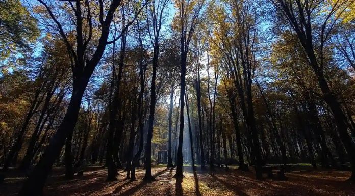 جاهای دیدنی سیسنگان مازندران