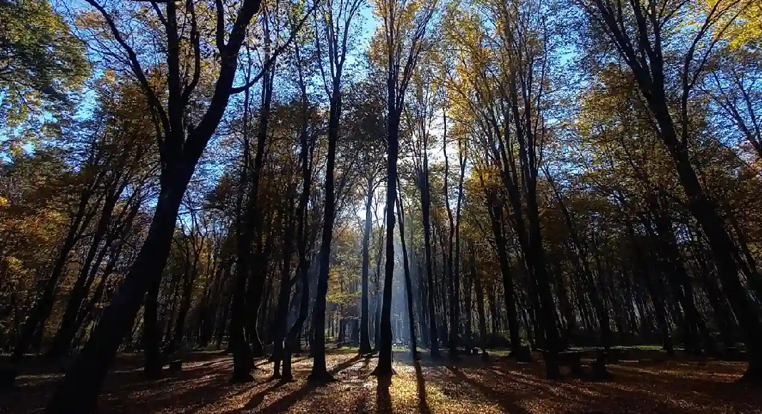 جاهای دیدنی سیسنگان مازندران