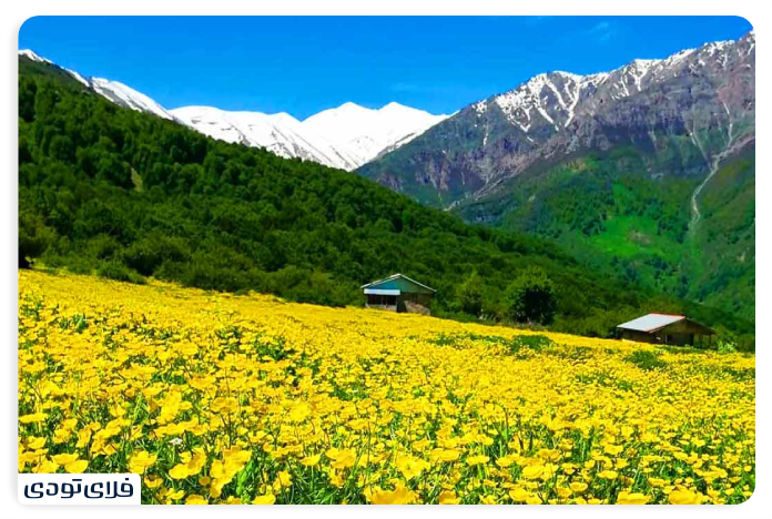دشت دریاسر کجاست؟