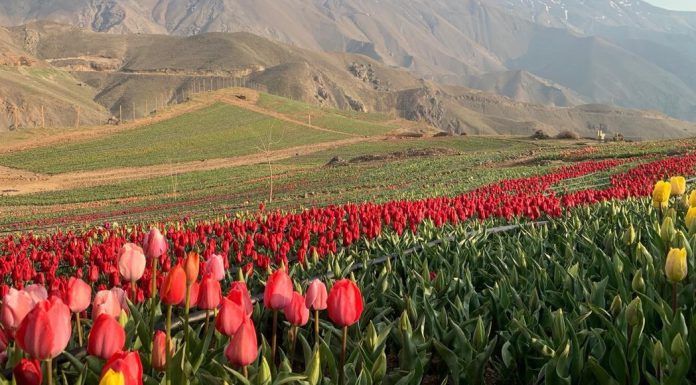 روستای کندر کرج