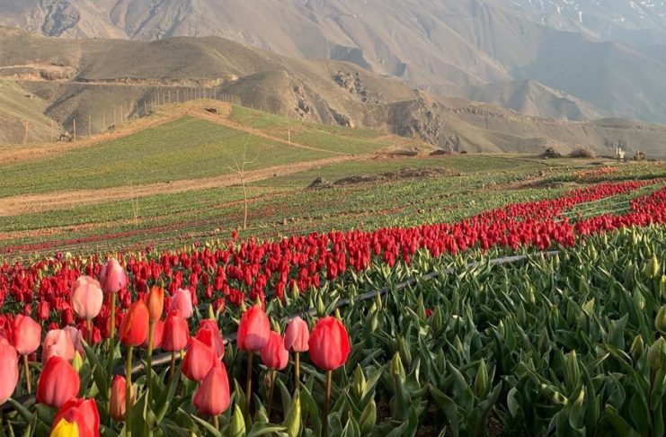 روستای کندر کرج